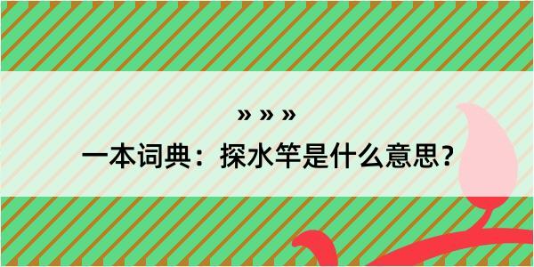 一本词典：探水竿是什么意思？