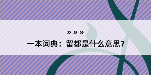 一本词典：留都是什么意思？