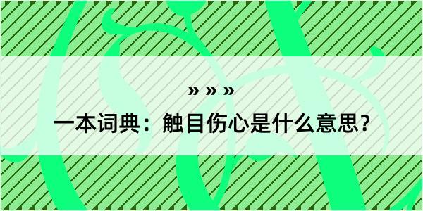 一本词典：触目伤心是什么意思？