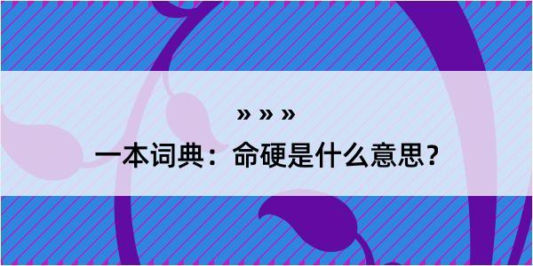 一本词典：命硬是什么意思？