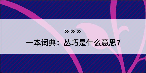 一本词典：丛巧是什么意思？