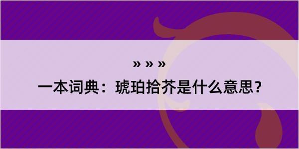 一本词典：琥珀拾芥是什么意思？