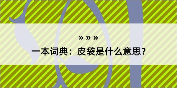 一本词典：皮袋是什么意思？