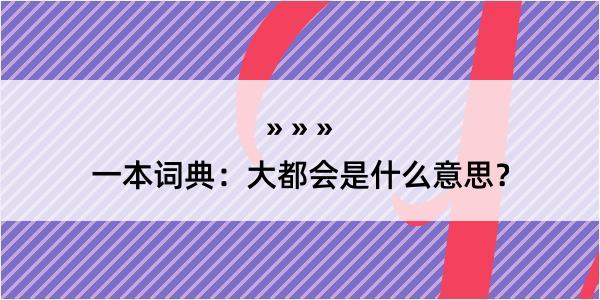 一本词典：大都会是什么意思？