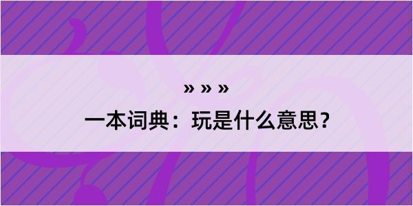 一本词典：玩是什么意思？