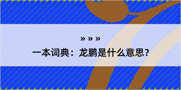 一本词典：龙鹏是什么意思？