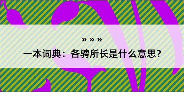 一本词典：各骋所长是什么意思？