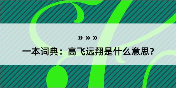 一本词典：高飞远翔是什么意思？