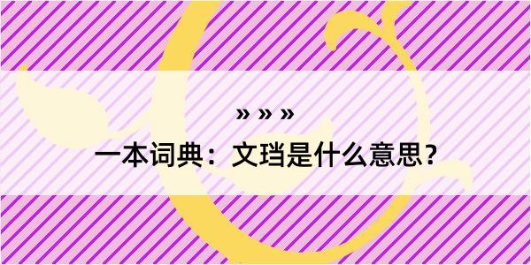 一本词典：文珰是什么意思？