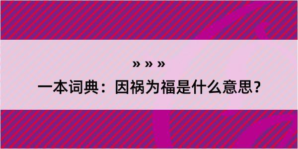 一本词典：因祸为福是什么意思？