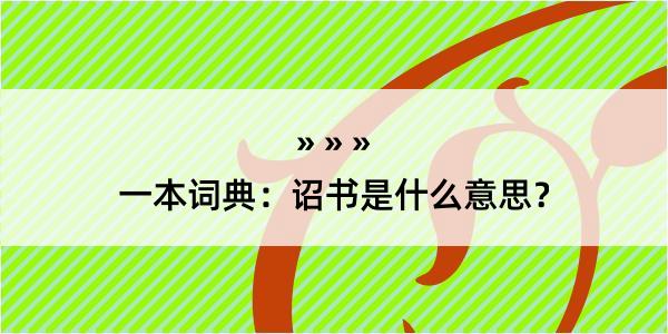 一本词典：诏书是什么意思？