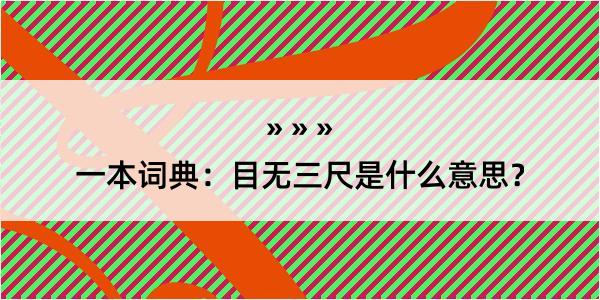 一本词典：目无三尺是什么意思？