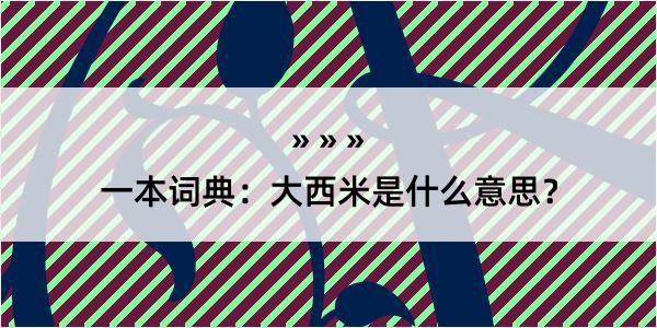 一本词典：大西米是什么意思？