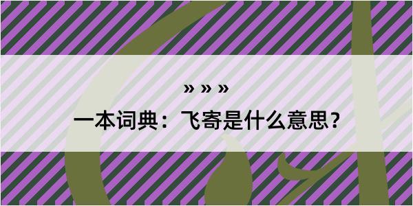 一本词典：飞寄是什么意思？