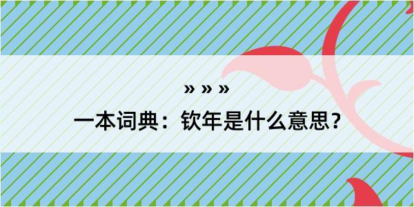 一本词典：钦年是什么意思？