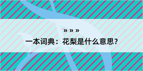 一本词典：花梨是什么意思？