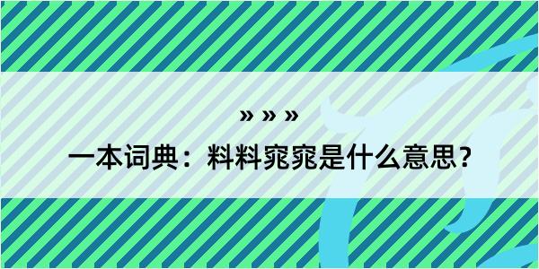 一本词典：料料窕窕是什么意思？