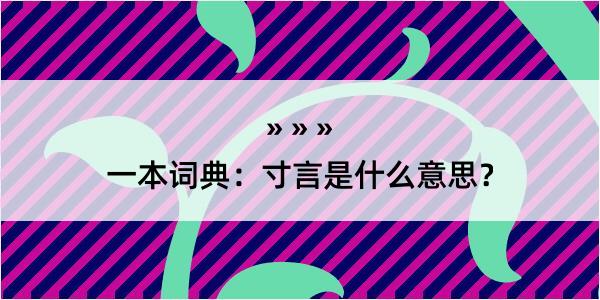 一本词典：寸言是什么意思？