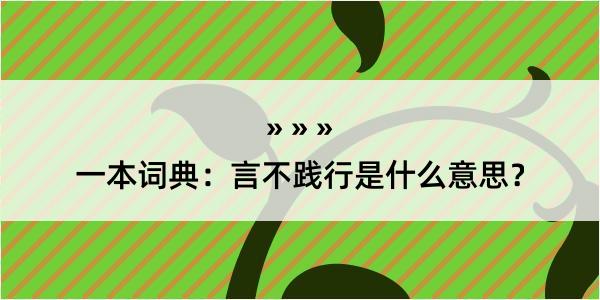 一本词典：言不践行是什么意思？