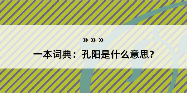 一本词典：孔阳是什么意思？