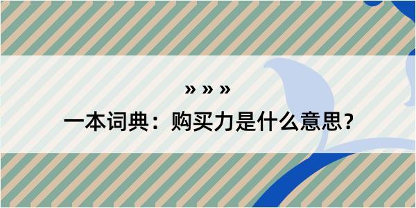 一本词典：购买力是什么意思？