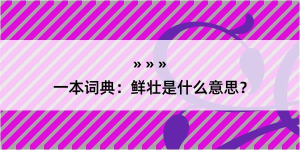 一本词典：鲜壮是什么意思？