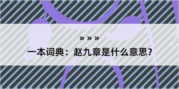 一本词典：赵九章是什么意思？