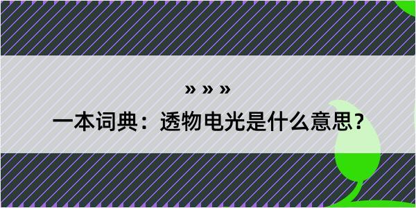 一本词典：透物电光是什么意思？