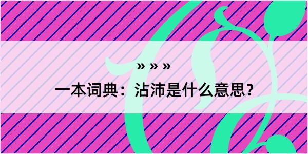 一本词典：沾沛是什么意思？