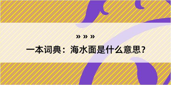 一本词典：海水面是什么意思？