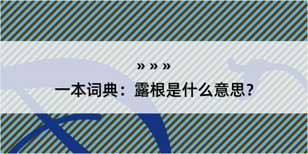 一本词典：露根是什么意思？