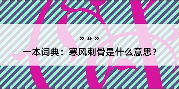 一本词典：寒风刺骨是什么意思？