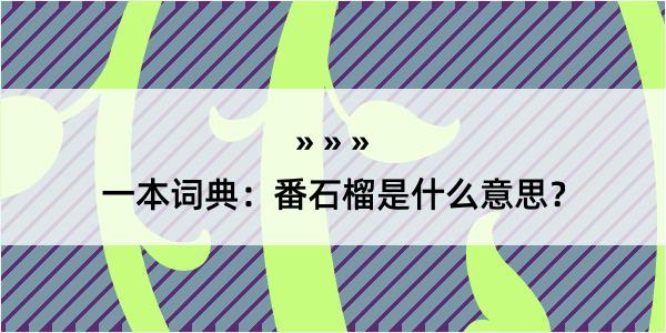 一本词典：番石榴是什么意思？