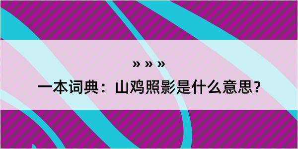 一本词典：山鸡照影是什么意思？