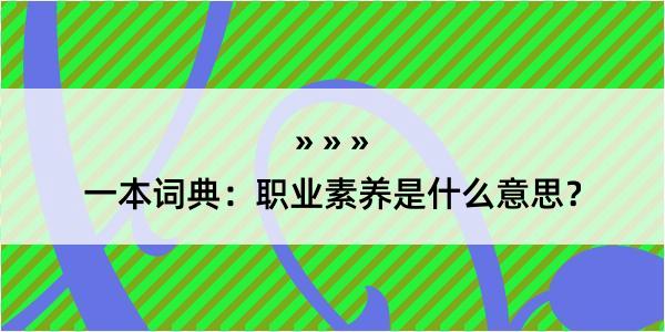 一本词典：职业素养是什么意思？