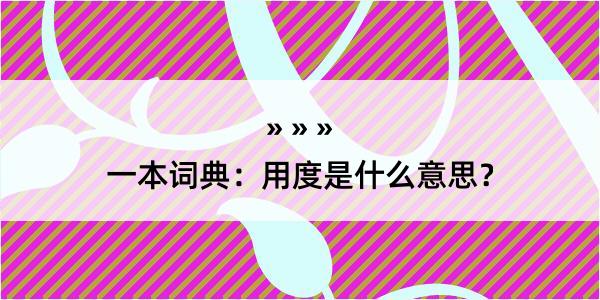 一本词典：用度是什么意思？