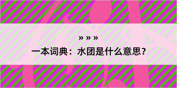 一本词典：水团是什么意思？