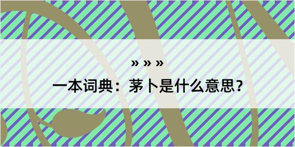 一本词典：茅卜是什么意思？