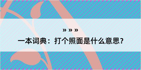 一本词典：打个照面是什么意思？