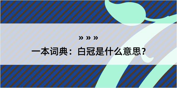 一本词典：白冠是什么意思？