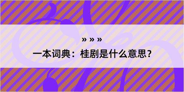 一本词典：桂剧是什么意思？