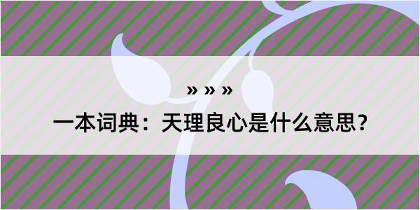 一本词典：天理良心是什么意思？