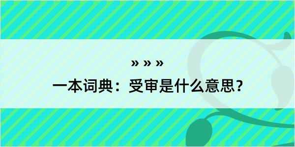 一本词典：受审是什么意思？