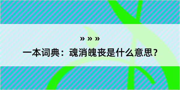 一本词典：魂消魄丧是什么意思？