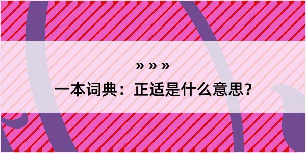 一本词典：正适是什么意思？