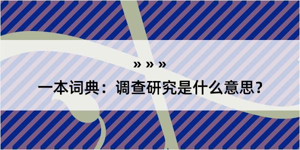 一本词典：调查研究是什么意思？