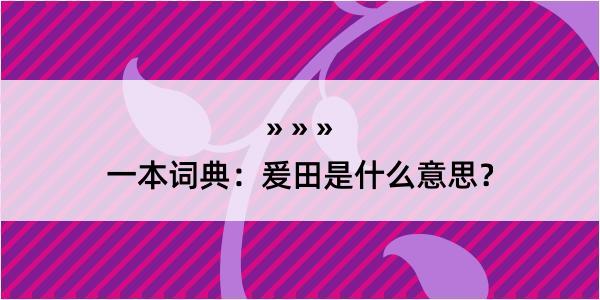 一本词典：爰田是什么意思？