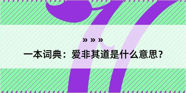 一本词典：爱非其道是什么意思？