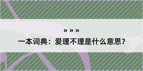 一本词典：爱理不理是什么意思？