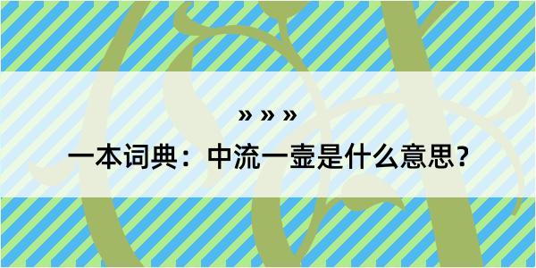 一本词典：中流一壸是什么意思？